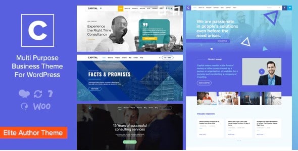 Capital - Multi Purpose Business WordPress Theme