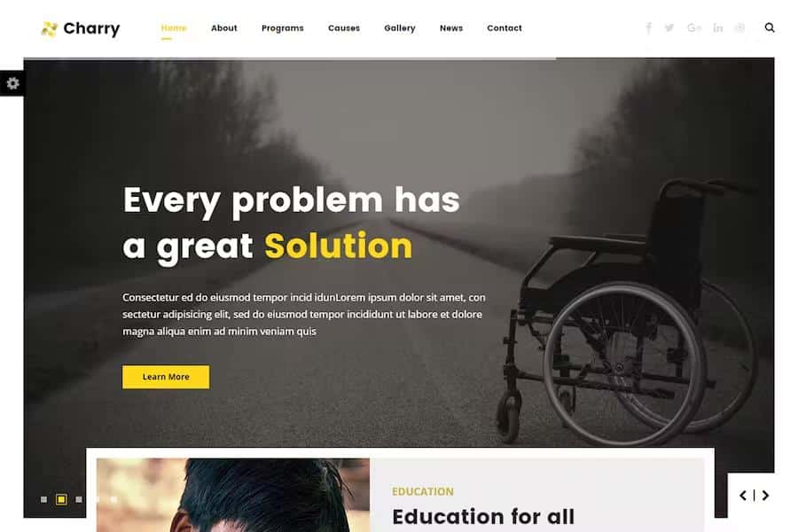 Charry - Non Profit Charity Template listing image