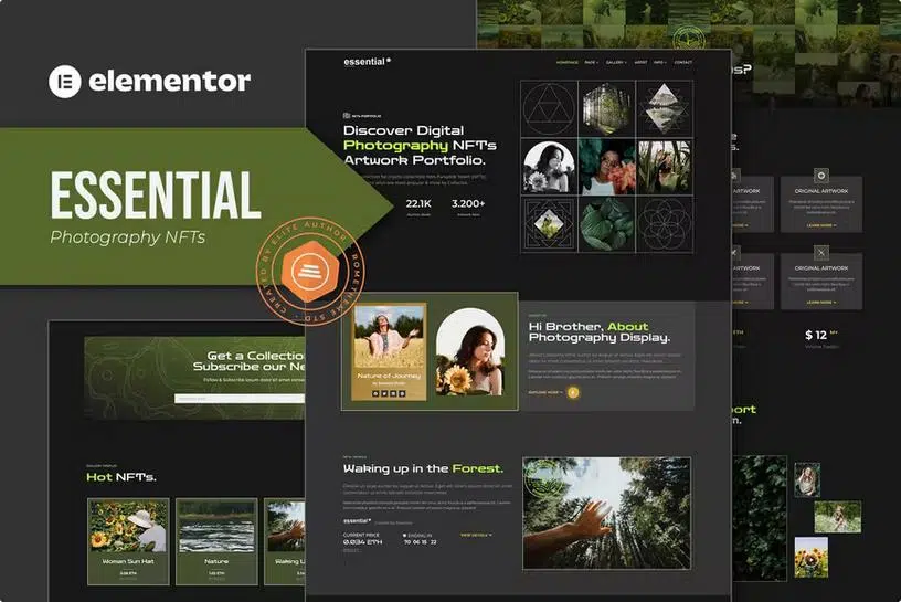 Preview image for Essential - Photography NFT Portfolio Elementor Template Kit