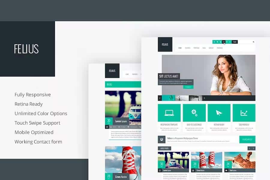 Felius - Responsive Multipurpose Template