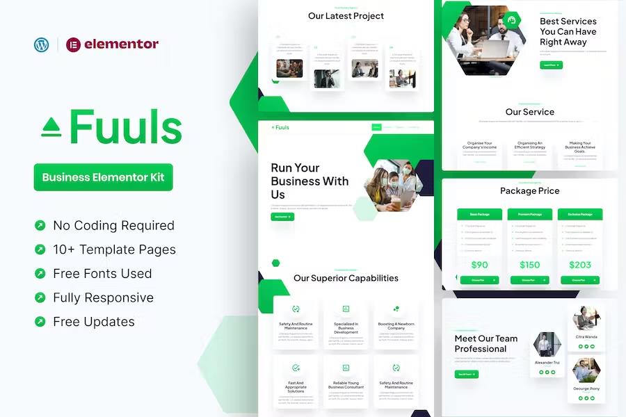Fuuls -  Business Elementor Pro Template Kit listing image