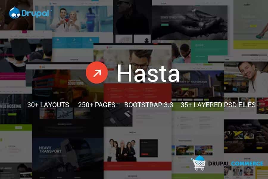 Hasta - Multipurpose Responsive Commerce Theme