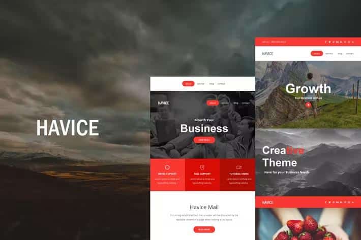 Havice Mail - Responsive E-mail Template + Online Access