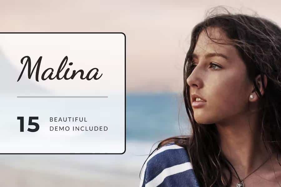 Malina - Personal WordPress Blog Theme