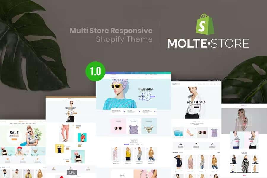 MolteStore - Multi Store Responsive Shopify Theme