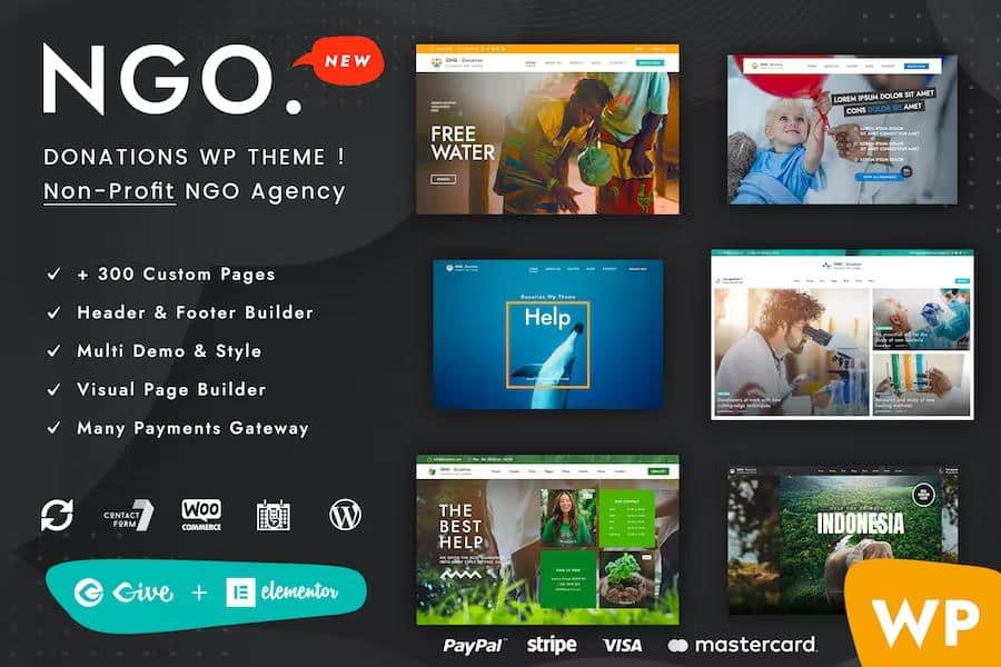 Ngo - Charity Donation WP