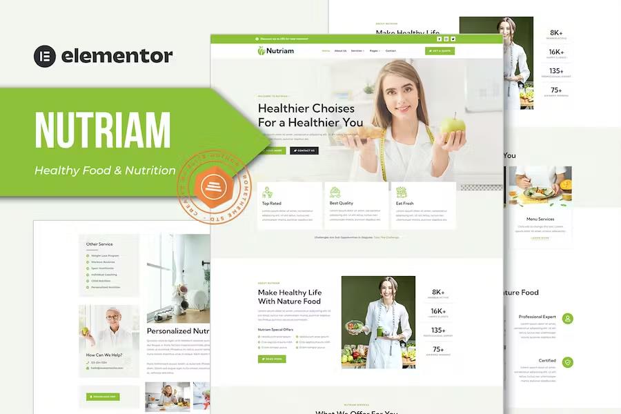 Preview image for Nutriam - Healthy Food & Nutrition Service Elementor Template Kit