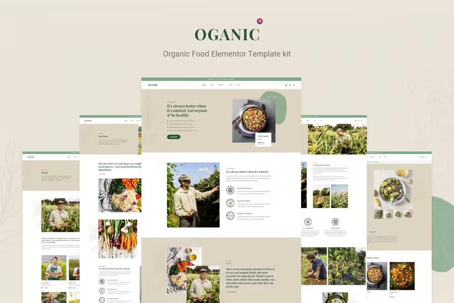 Preview image for Oganic - Organic Food Elementor Template kit