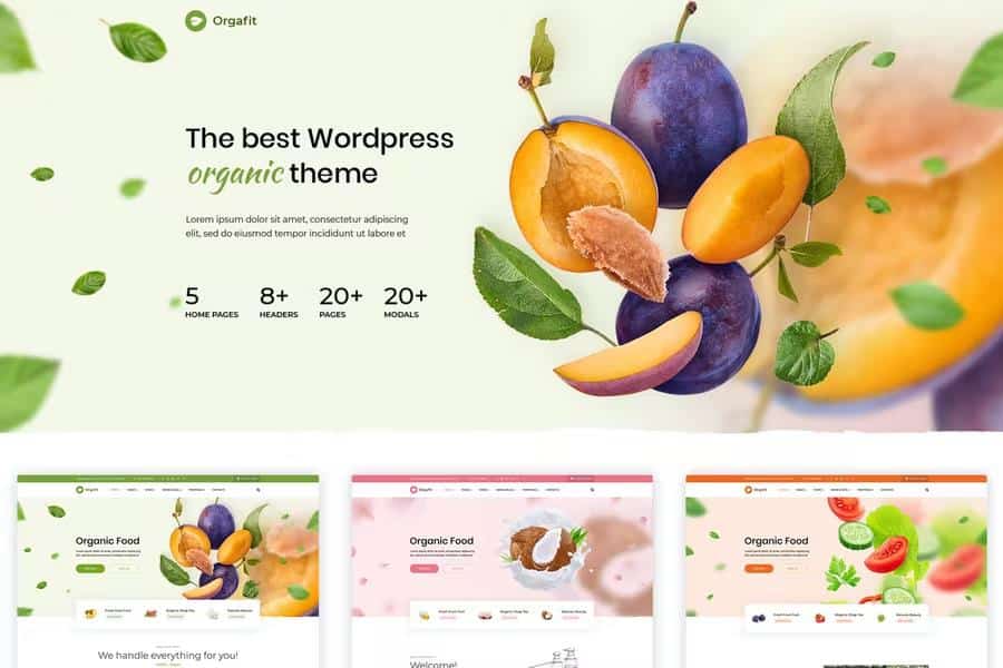 OrgaFit - Organic and Health WordPress Theme