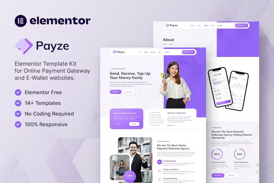 Product preview supplied for Payze – Online Payment Gateway & E-Wallet Elementor Template Kit