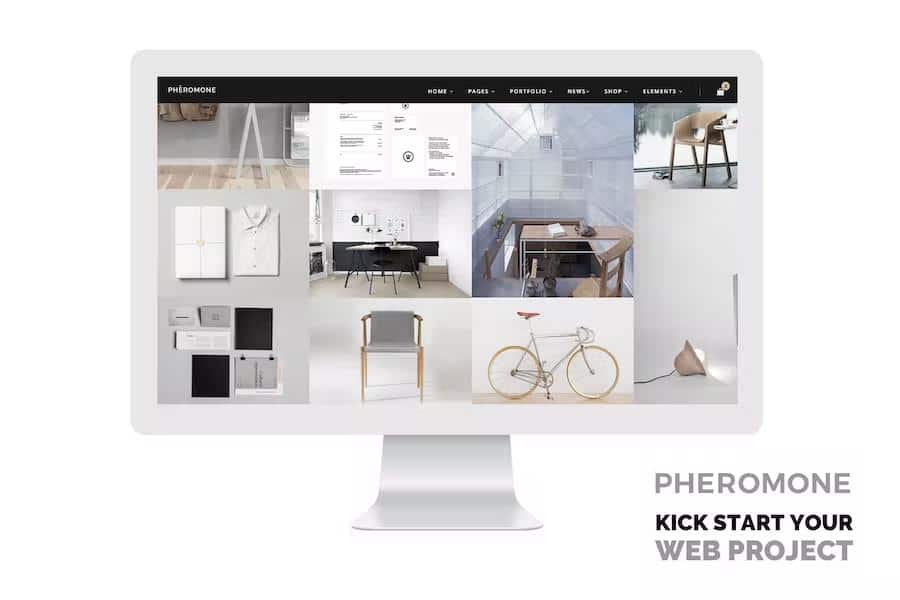 Pheromone - Responsive Multi-Concept Template