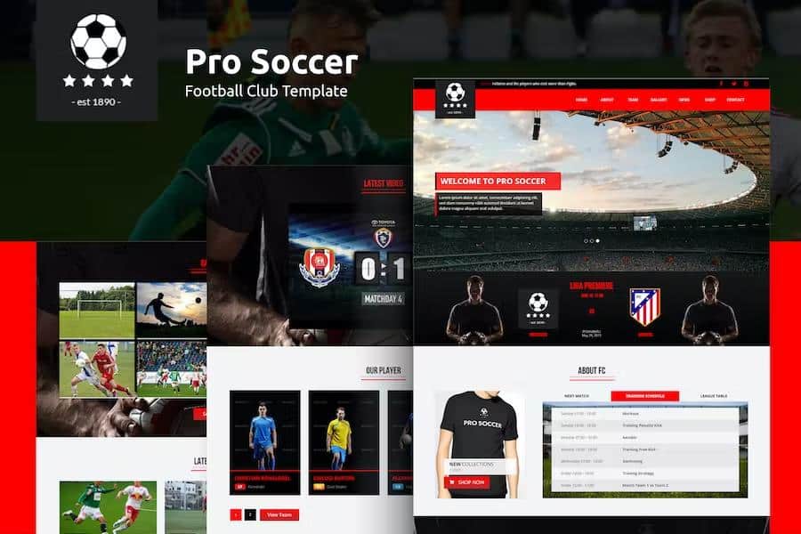 Pro Soccer - Football Club Template
