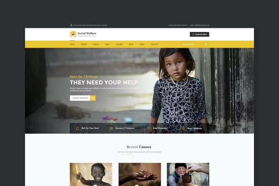 Preview image for Social Welfare - Charity & Non-Profit HTML Template