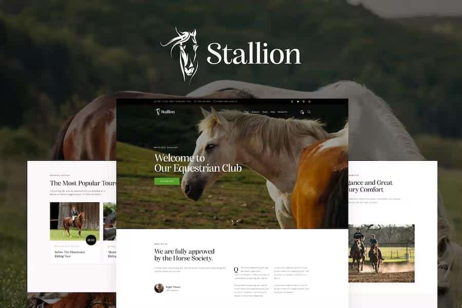 Stallion - An Equestrian Club and Horse Riding School WordPess Theme