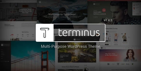 Terminus - Responsive Multi-Purpose WordPress Theme