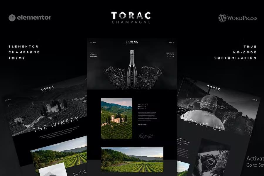 Preview image for Torac - Champagne Elementor Template Kit