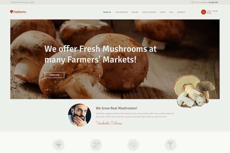 Umberto - Mushroom Farm & Organic Products Store WordPress Theme