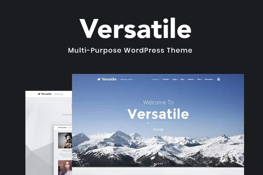 Versatile - Responsive Multi-Purpose WP Theme