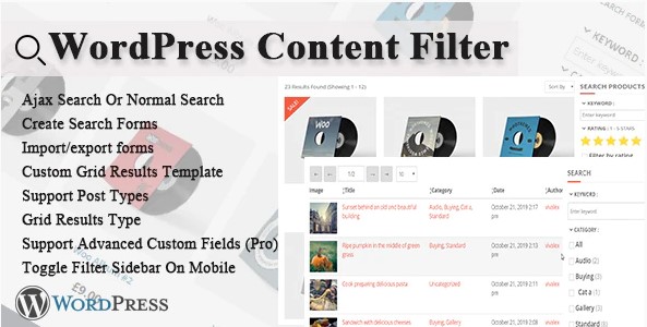 WordPress Content Filter WordPress Plugin