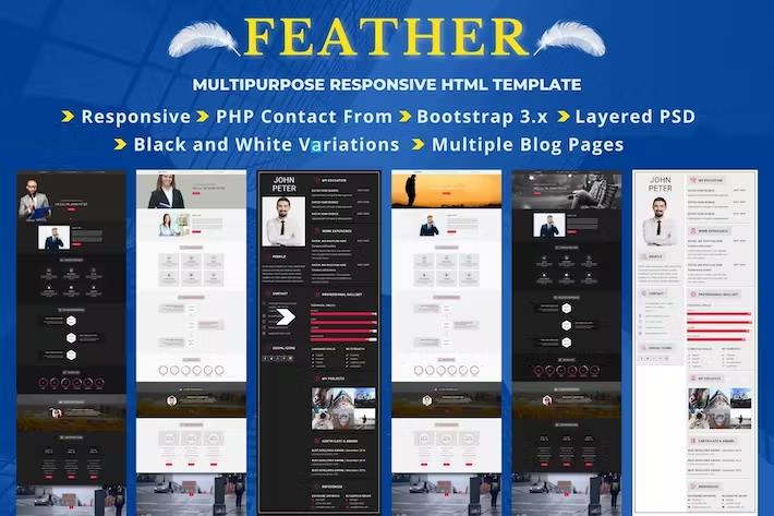 Preview image for FEATHER - Multipurpose Responsive Landing Pages