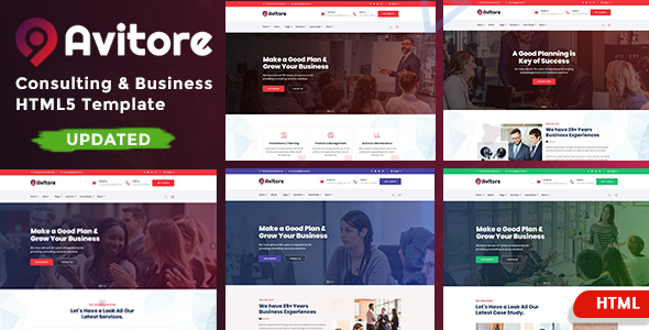 Consulting Business - Avitore