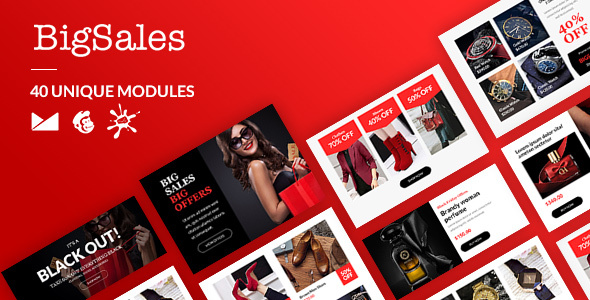 BigSales Email-Template + Online Builder