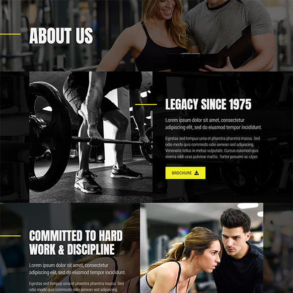 Fit Point - Gym & Fitness Elementor Template Kit
