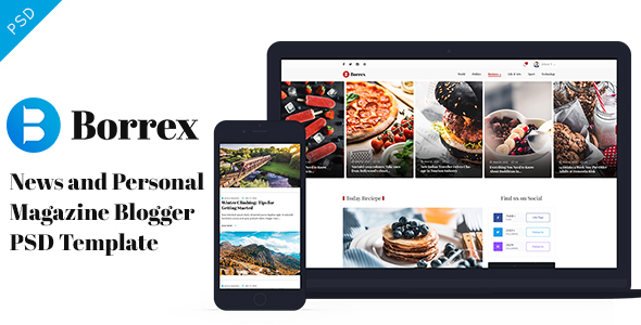Borrex PSD Template