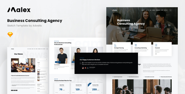 Malex - Business Consulting Agency Sketch Template