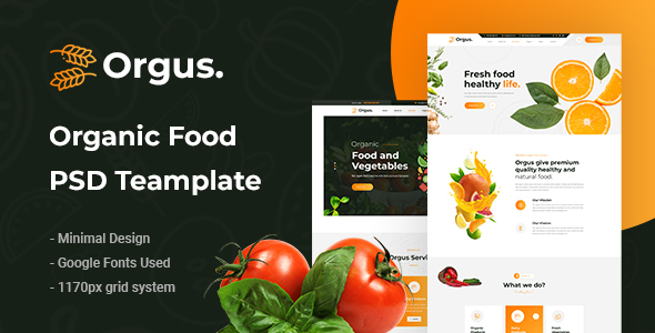Preview image for Orgus - Organic Food PSD Template