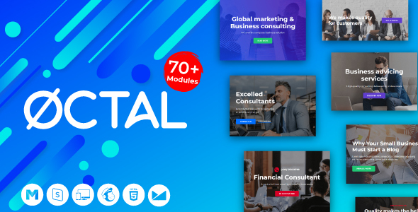 Product preview supplied for Octal Business And Financial Consulting - Email Template