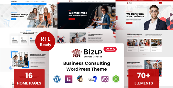 Bizup - Business Consulting WordPress Theme