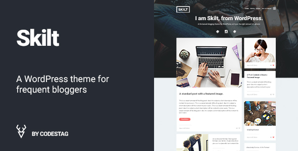 Product preview supplied for Skilt - A WordPress theme for Frequent Bloggers