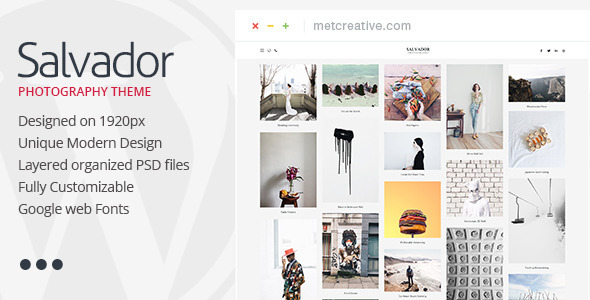 Product preview supplied for Salvador - Clean Photography Theme