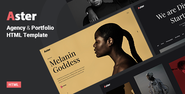 Aster - Creative Portfolio Agency Template