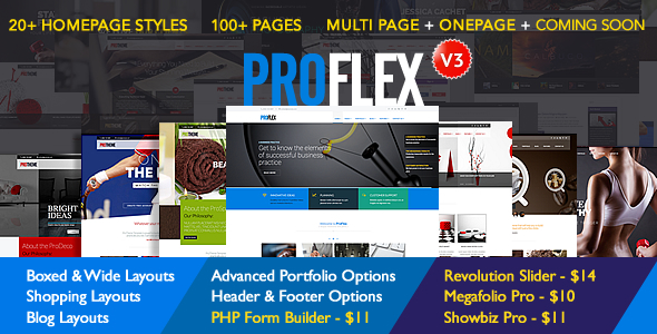 ProFlex Multi-Purpose Responsive Template product preview