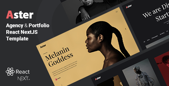 Product preview supplied for Aster - Creative Agency Portfolio NextJS Template