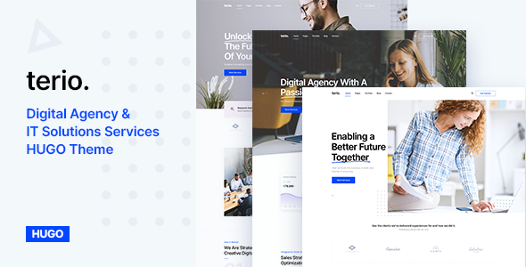 Preview image for Terio - Digital Agency & IT Services Hugo Theme