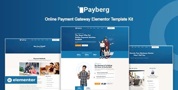Payberg - Online Payment Gateway Elementor Pro Template Kit