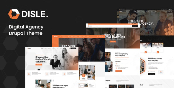 Disle - Digital Marketing Agency Drupal 11.3 Theme