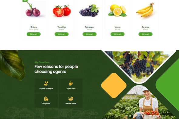 Ogenix - Organic Food Store Elementor Template Kit