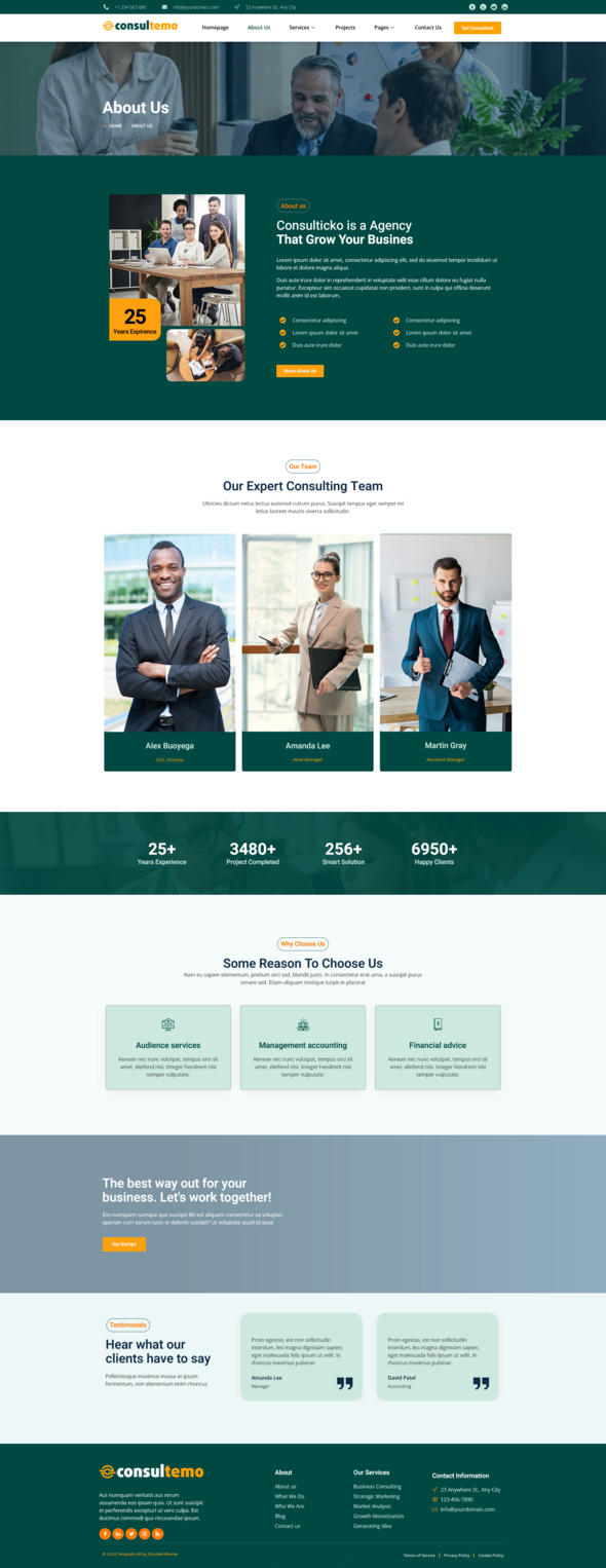 Consultemo - Busines Consulting Elementor Template Kit