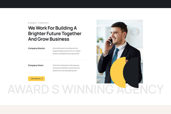 Saylo - Business Consulting Elementor Template Kit