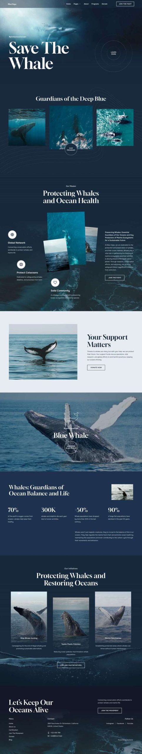 BlueHope - Whale & Marine Conservation Elementor Template Kit