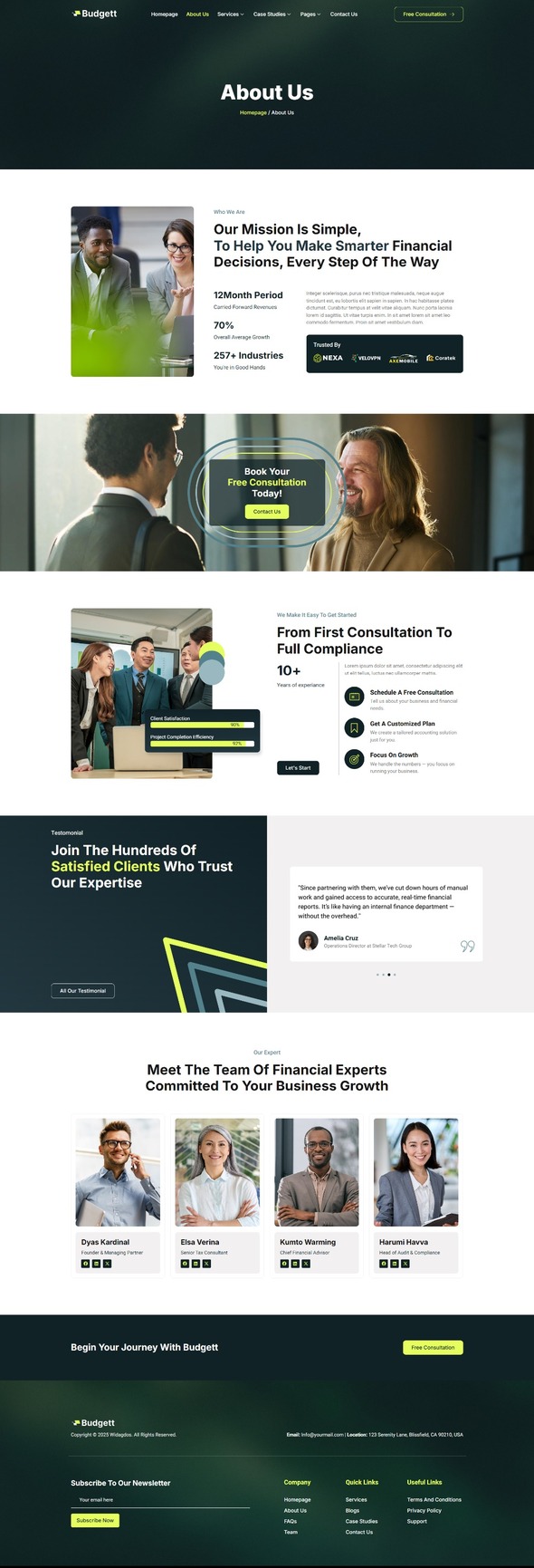Budgett - Accounting Firm Elementor Template Kit