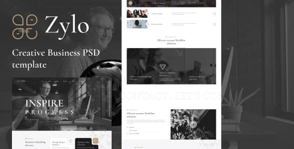 zylo- Business & consultancy PSD Template