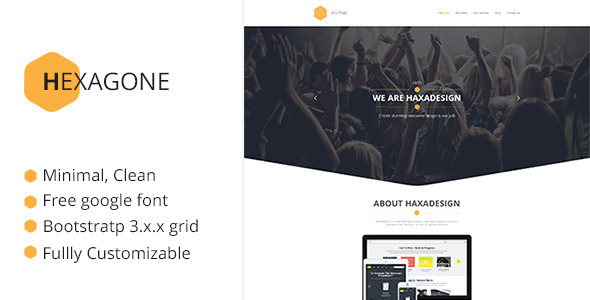 Product preview supplied for Hexagone PSD template