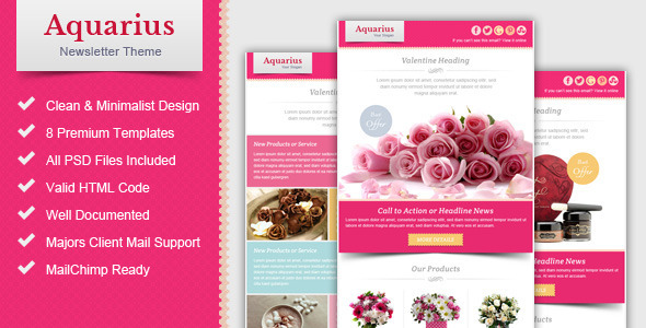 Valentine Email Marketing & Newsletter Template product preview