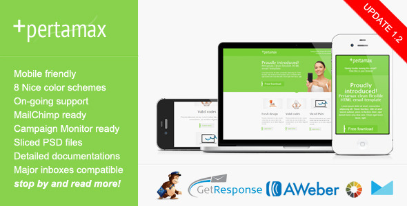 Product preview supplied for Mobile Friendly HTML Email Template - Pertamax