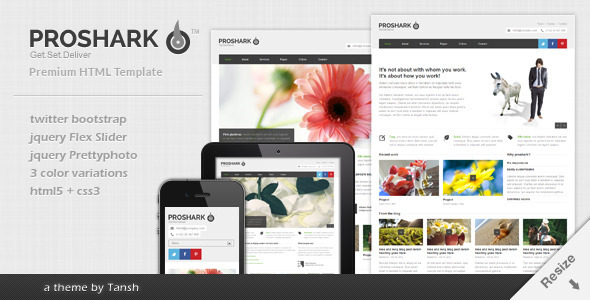 Proshark Responsive Corporate HTML Template listing image